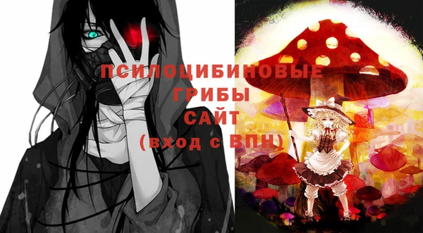 МДПВ Беломорск