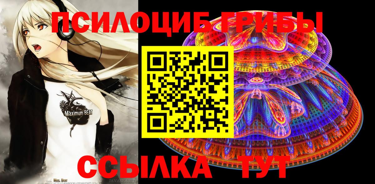 Псилоцибиновые грибы Psilocybine cubensis Губкинский