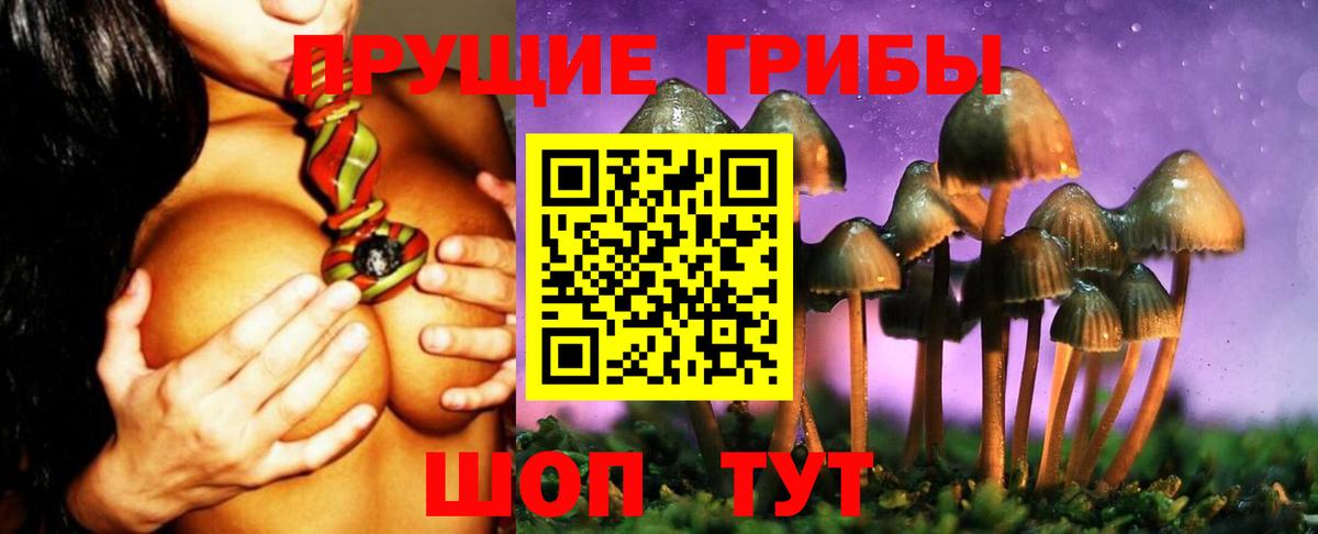 Губкинский  Галлюциногенные грибы MAGIC MUSHROOMS  Вход с VPN 